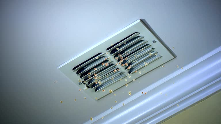 Reliable Valentine, NE Airduct Cleaning Solutions
